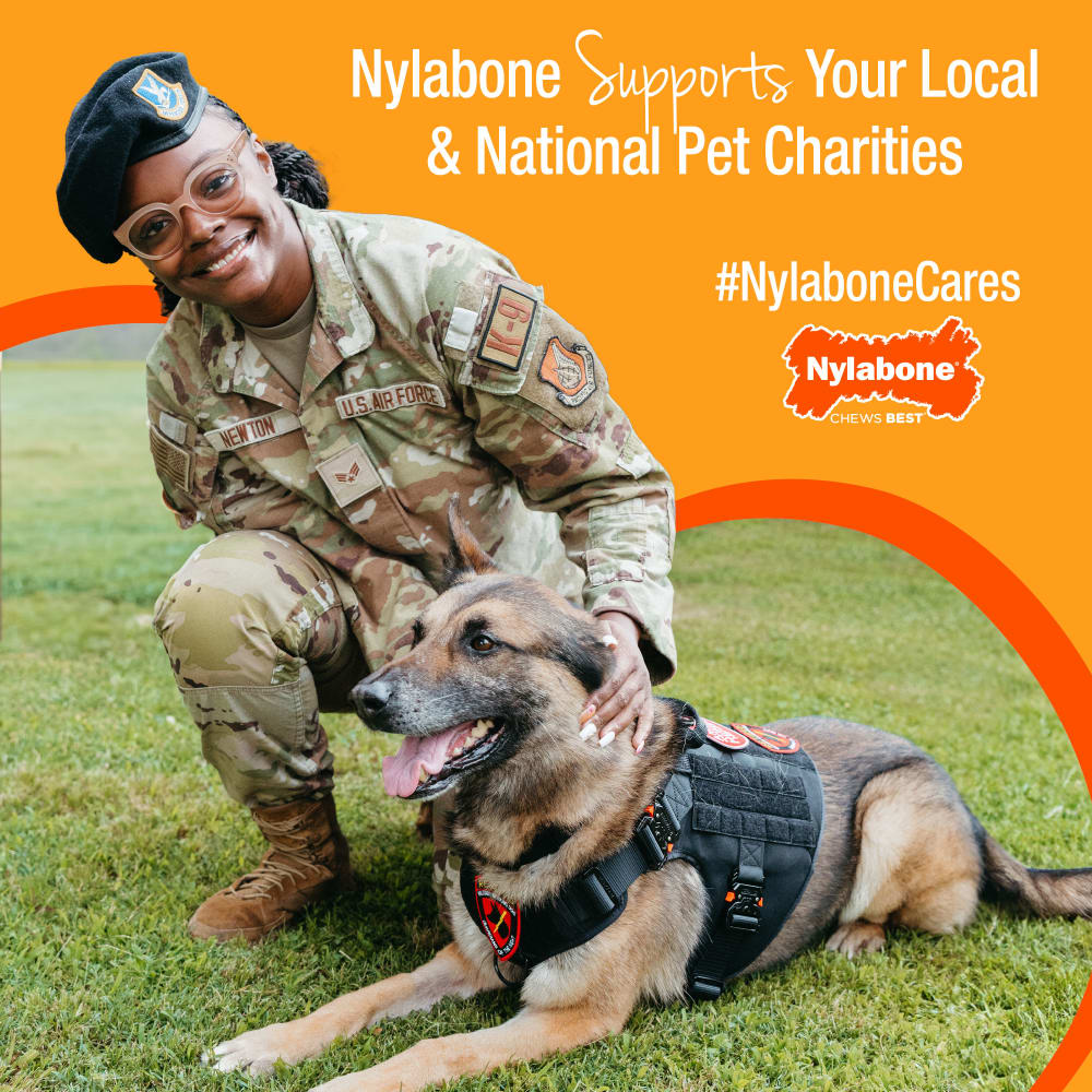 Nylabone Puppy Starter Kit Chew & Toy (3-pack, Small)