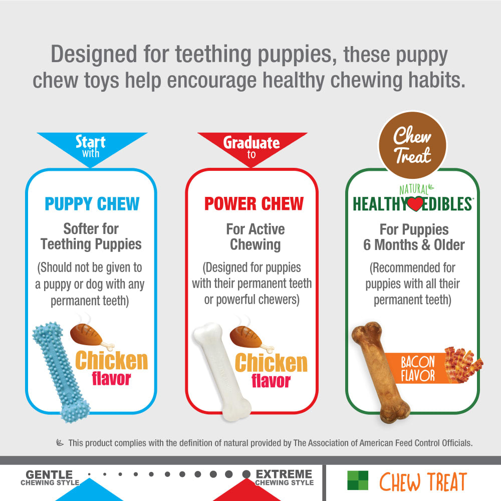 Nylabone Puppy Starter Kit Chew & Toy (3-pack, Small)