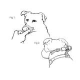 Dog Muzzle - Size 3 - Image 5