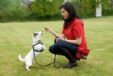 Deluxe Treat Bag - Image 4