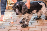 Sleek & Smooth Dog Shampoo - 250ml - Image 5