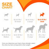 Nylabone Puppy Starter Kit Chew & Toy (3-pack, Small)