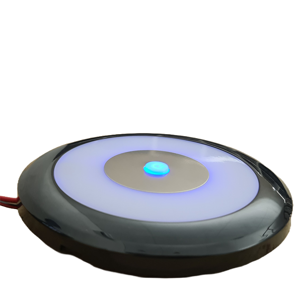 Flex Interior LED Light