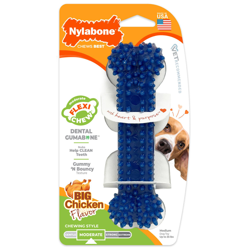 Nylabone Moderate Dental Chew (Chicken, Medium)