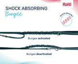 Halti Active Bungee & Hands-Free Lead (Black, Large)