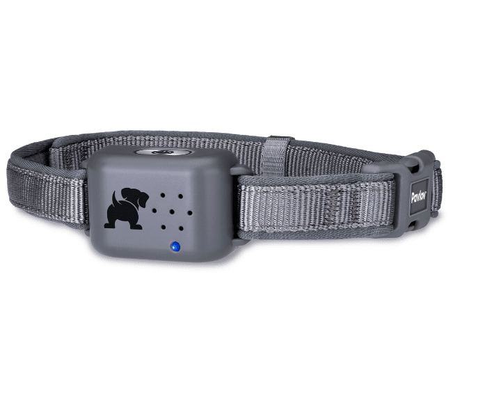 Company of Animals Pavlov Digital No Bark Collar (No Shock, Large)