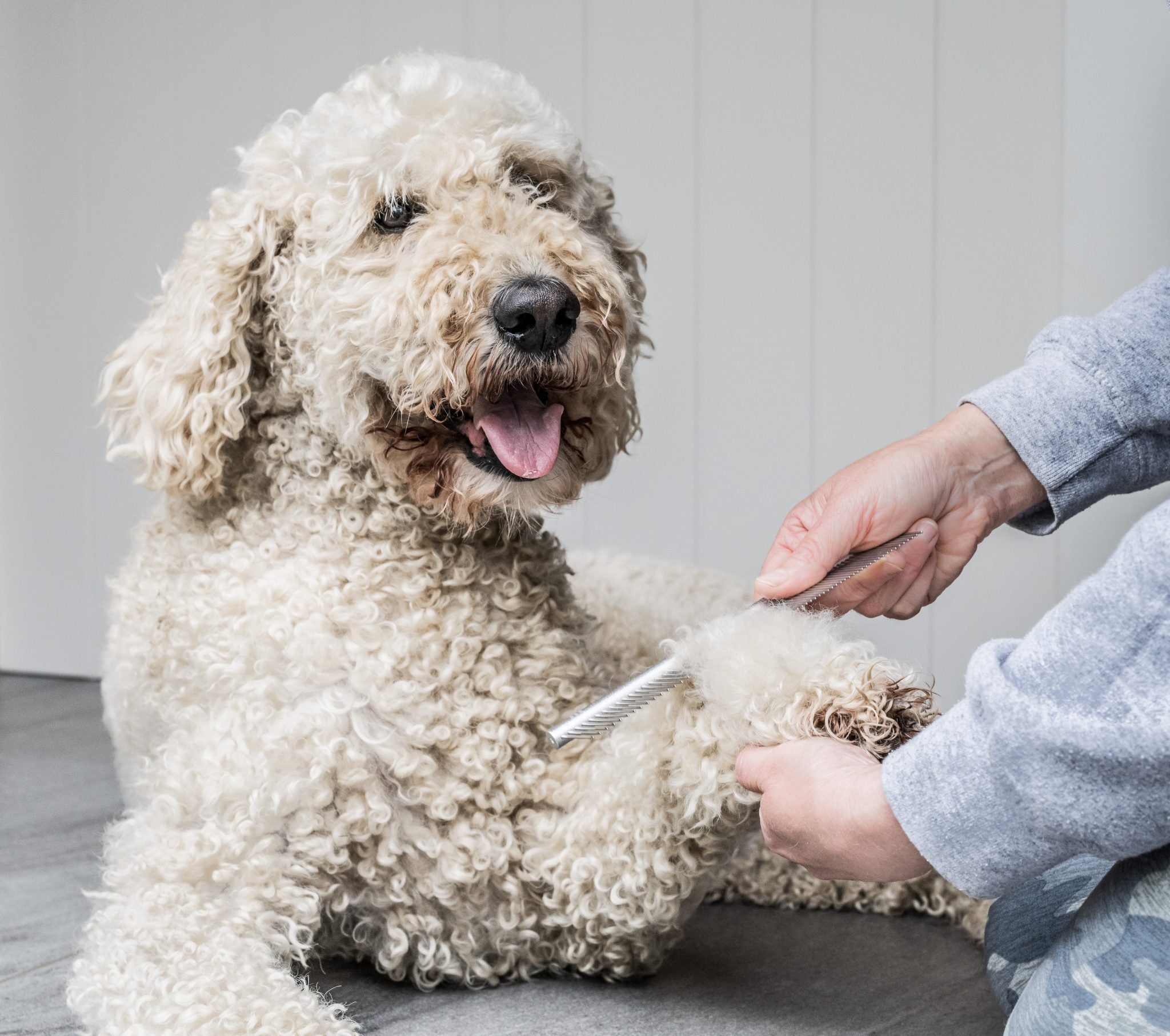 Doodles Grooming Kit - Image 7