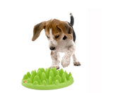 Company of Animals Green Slow Feeder (Regular)