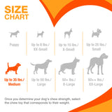 Nylabone Moderate Dental Chew (Chicken, Medium)