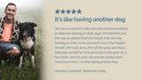 Customer testimonial - It's like having another dog