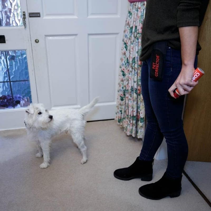 Company of Animals Pet Corrector Spray Holster (Black, Fits 50ml)