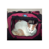 Cosmic Pets Collapsible Pet Carrier - Small - Maroon In Use View