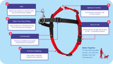 Halti Front Control Harness (Black/Red, Medium)