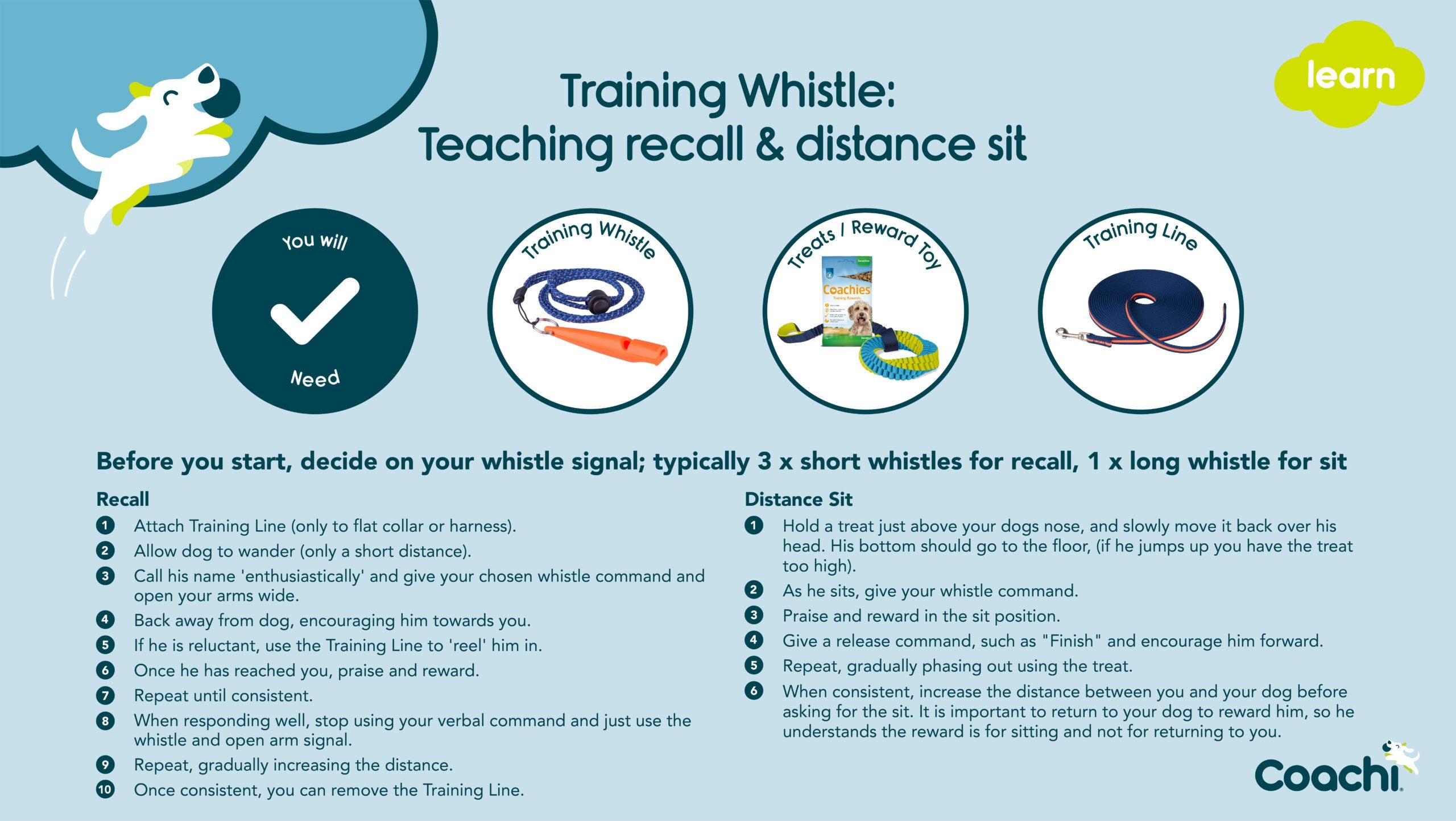 Training whistle guide