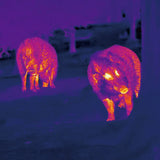 Nocpix Lumi P13 Thermal Vision Monocular