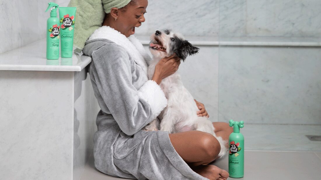 Happy owner laughing with her Terrier in bathroom after a shower