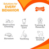 Nylabone Moderate Dental Chew (Chicken, Medium)