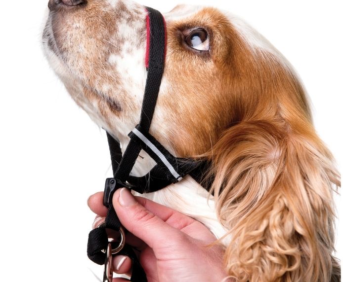 Halti Optifit Headcollar (Black/Red, Large)