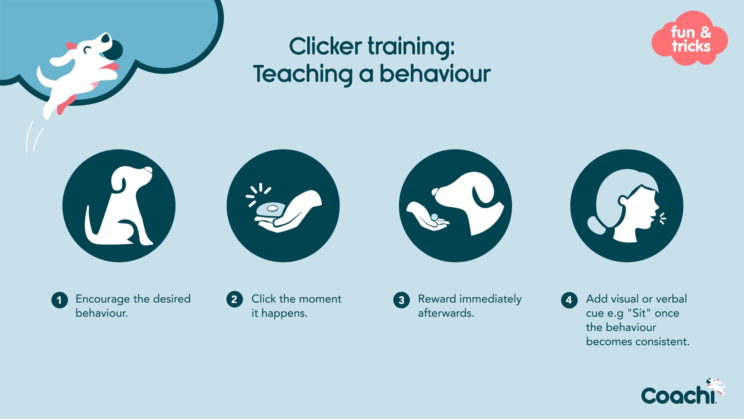 Clicker training - teaching a behaviour