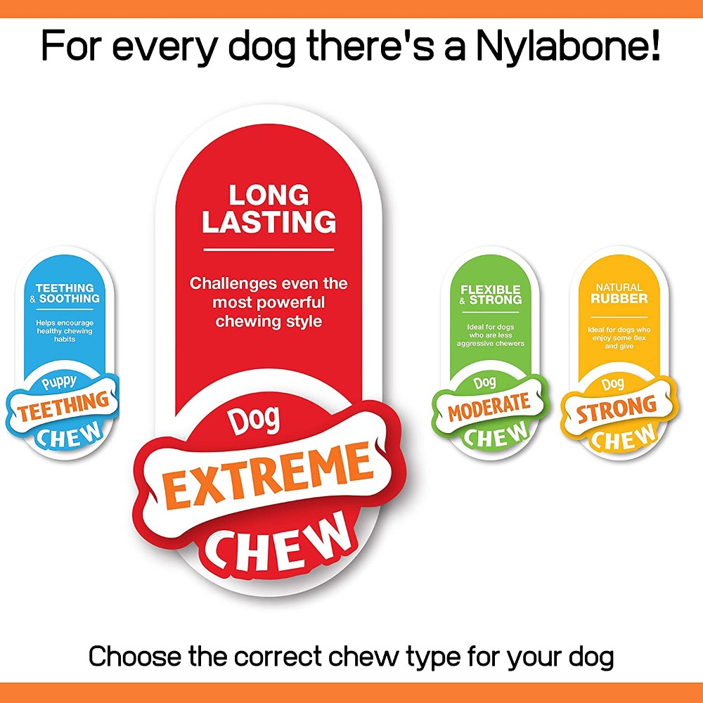 Nylabone Extreme Chew Shish Kebab Chicken - product detail image shipping in South Africa