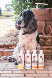Sleek & Smooth Dog Shampoo - 250ml - Image 6