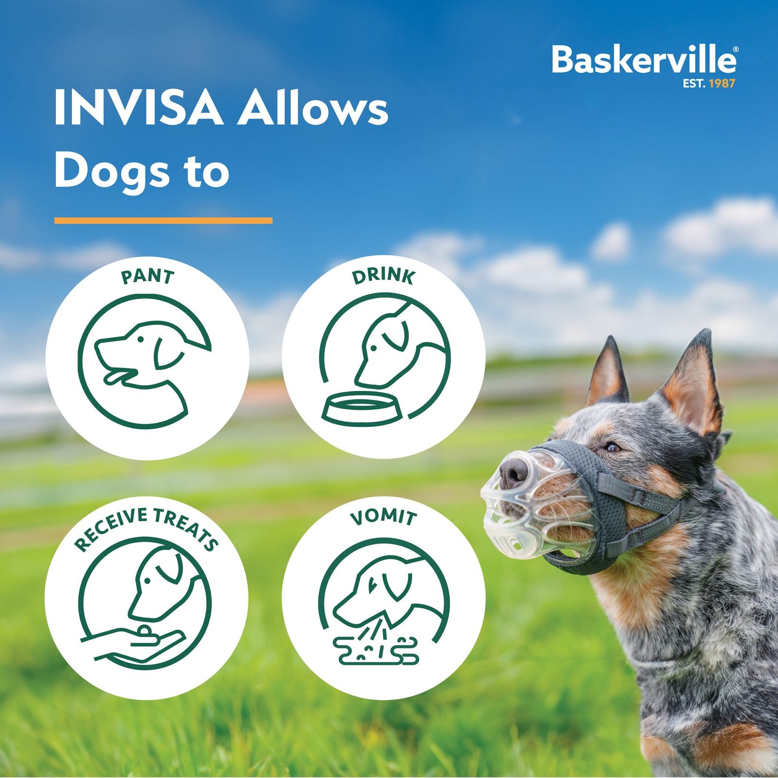 Company of Animals Baskerville Invisa Muzzle (Size 3)
