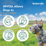 Company of Animals Baskerville Invisa Muzzle (Size 4)
