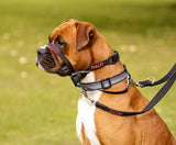 Halti Optifit Headcollar (Black/Red, Medium)