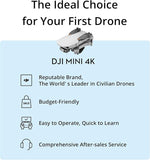 DJI Mini 4K Fly More Combo (RC-N1C)