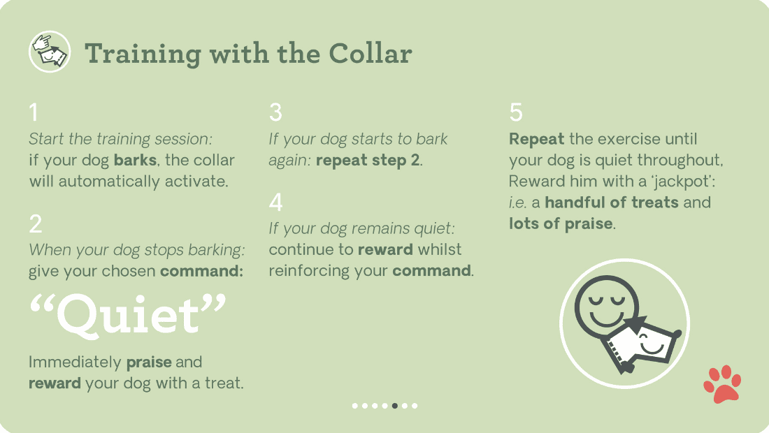 Training tips with the Pavolv No Bark Collar