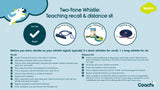 Two-tone whistle - teaching recall and distance sit