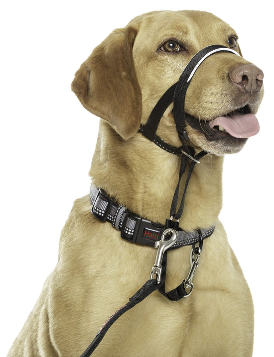 Halti Headcollar (Black, Size 3)