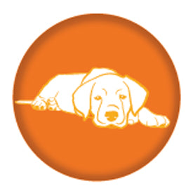 Puppy Beef Bone S