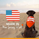 Nylabone Puppy Starter Kit Chew & Toy (3-pack, Small)