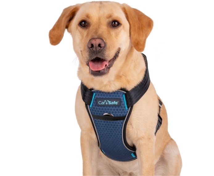 Company of Animals CarSafe Crash-Tested Harness (Blue, Large)