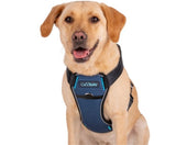 Company of Animals CarSafe Crash-Tested Harness (Blue, Large)