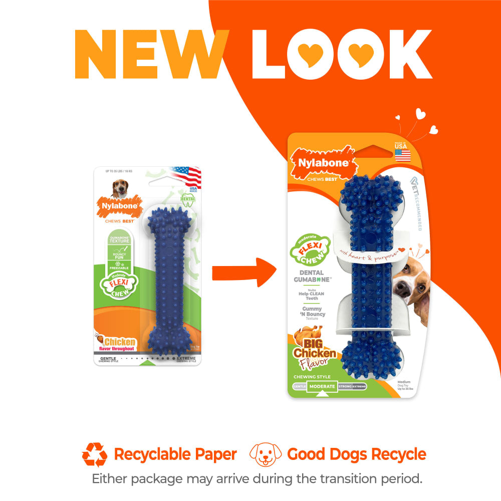 Nylabone Moderate Dental Chew (Chicken, Medium)