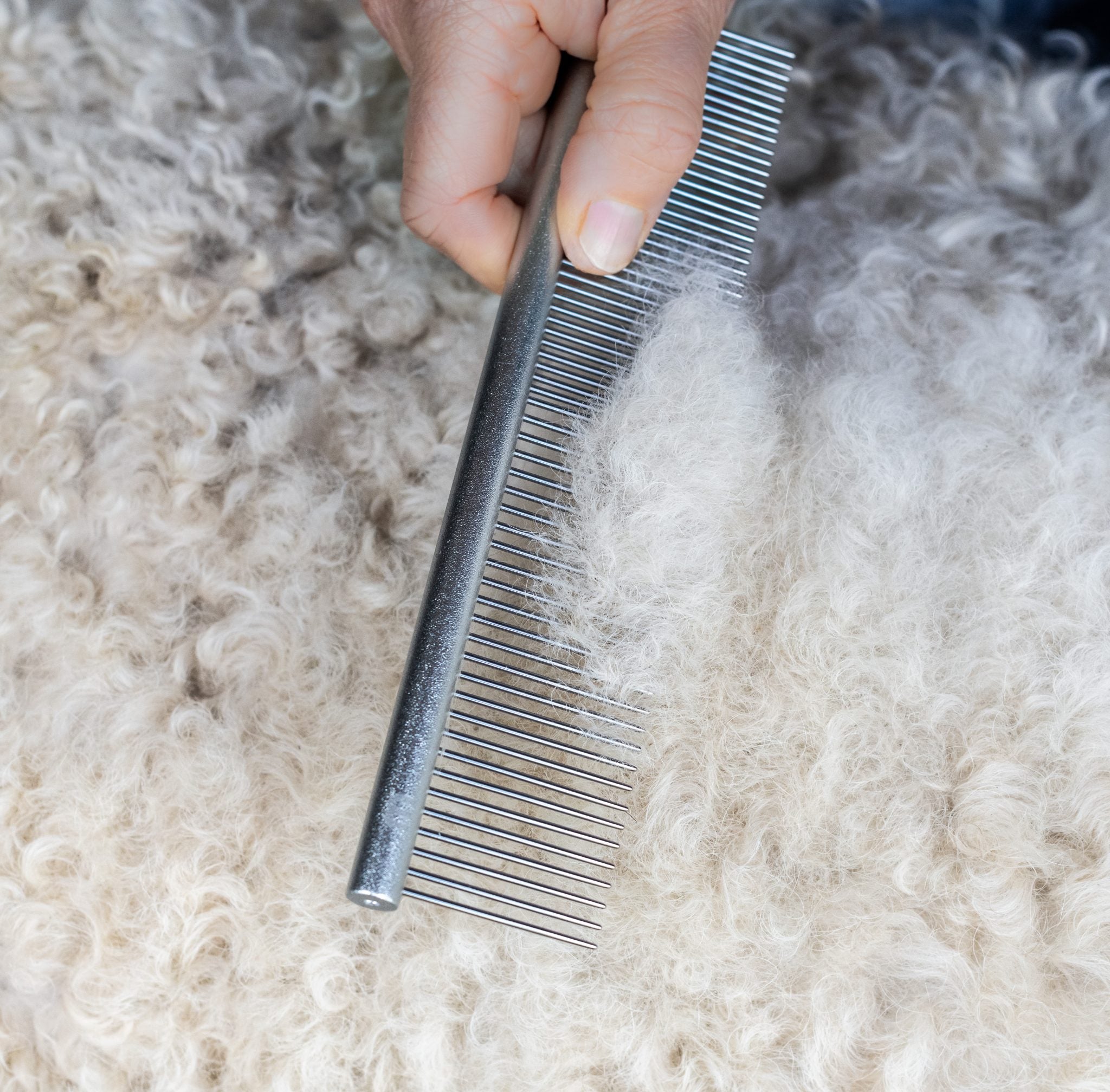 Doodles Grooming Kit - Image 9