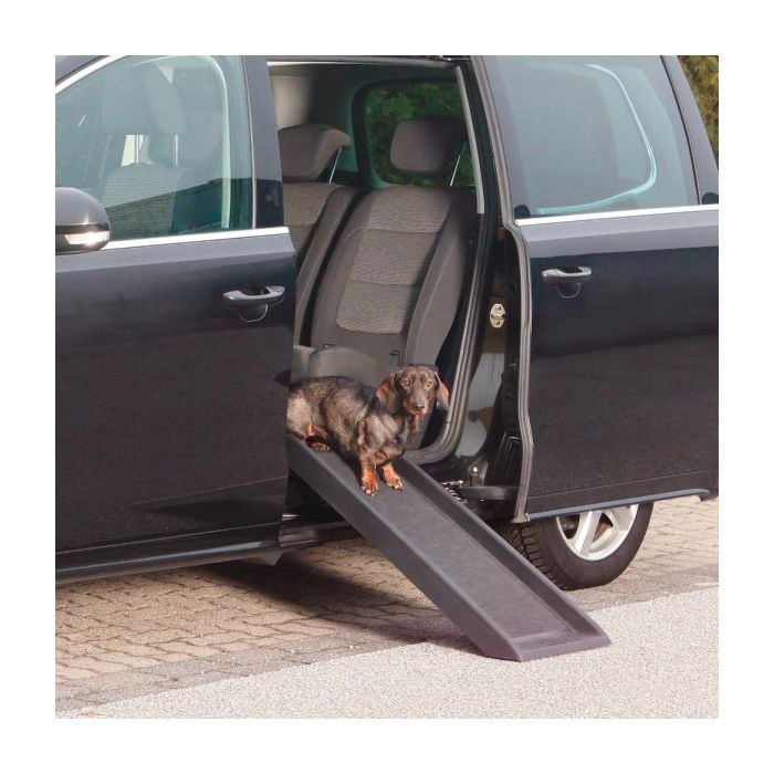 Cosmic Pets Single Pet Ramp