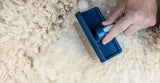 Doodles Grooming Kit - Image 4