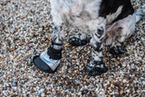 Dog Boot - Small Size 1 - Image 5