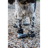 Dog Boot - X-Large Size 4 - Image 6