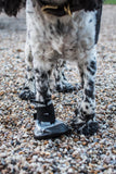 Dog Boot - Medium Size 2 - Image 6