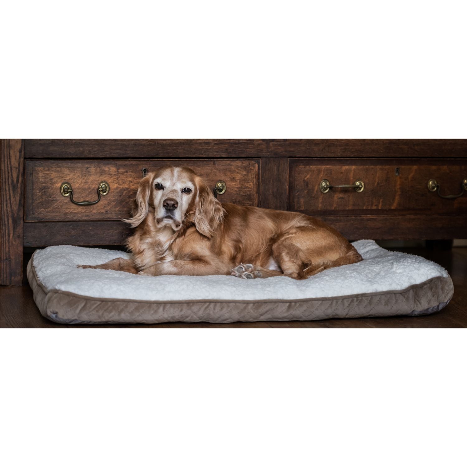 Sherpa Calming Cushion - Large - Image 3